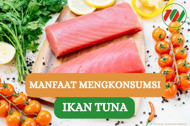 8 Manfaat Komsumsi Ikan Tuna Bagi Kesehatan